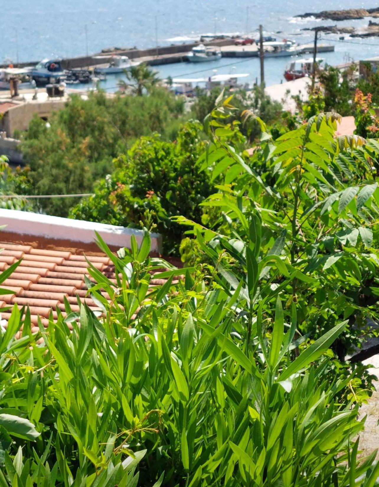 Villas Vista Del Mar 基萨莫斯 外观 照片