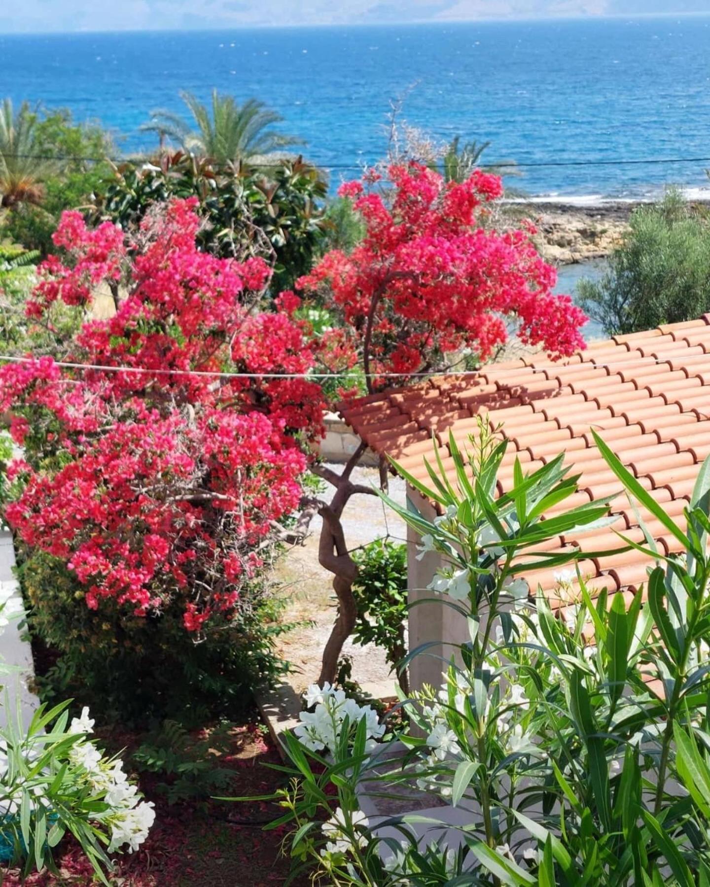 Villas Vista Del Mar 基萨莫斯 外观 照片